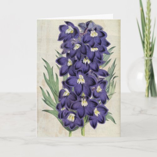 Vintage Botanical Frasers Bee Larkspur Card