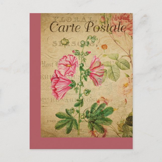 Vintage Botanical French Floral Post Card  (Front)