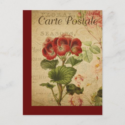 Vintage Botanical French Post Card Pelargonium
