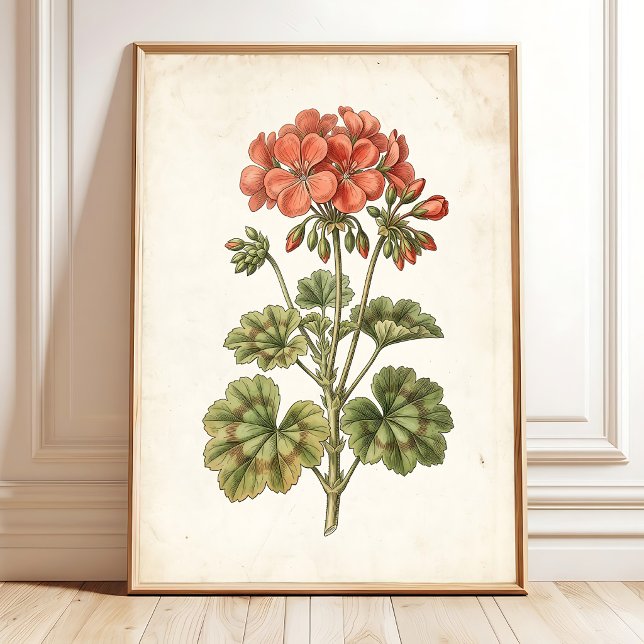 Vintage Botanical Geranium Home Decor (Creator Uploaded)