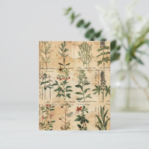 Vintage Botanical Herbal Scrapbook Paper