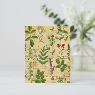 Vintage Botanical Herbal Scrapbook Paper 