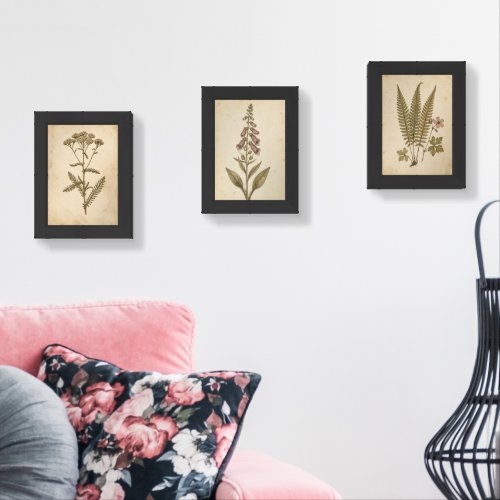 Vintage Botanical Herbarium Wall Art Set