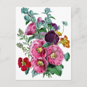 Vintage Botanical Hollyhocks Postcard