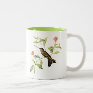 vintage botanical hummingbird wild bird coffee mug
