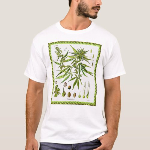 Vintage Botanical Illustration 1897 _ A weed T_Shirt