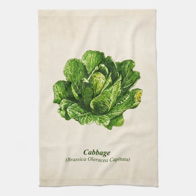 Vintage Botanical Illustration, Cabbage Kitchen Towel (Vertical)