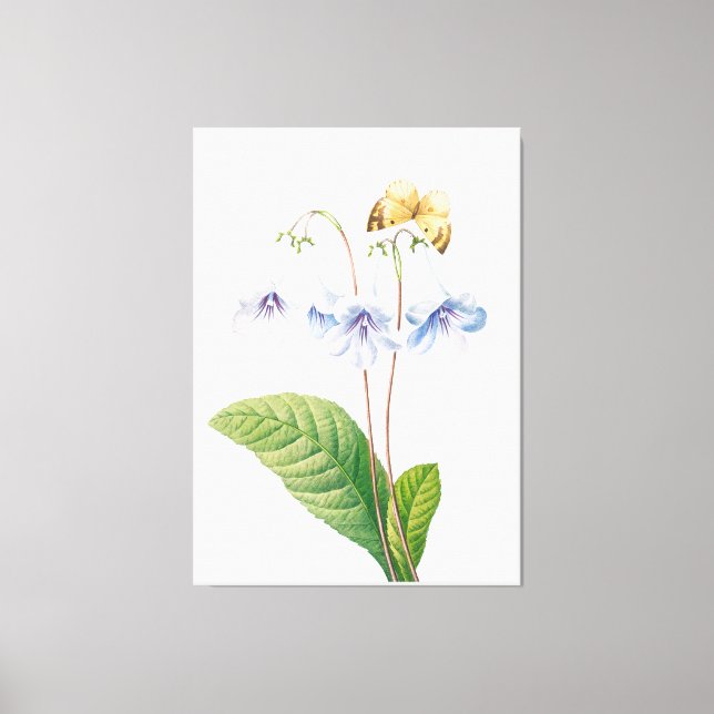 Vintage Botanical Illustration  Canvas Print (Front)