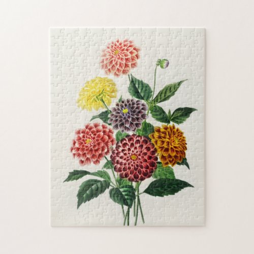 Vintage Botanical Illustration Dahlias 250 pieces Jigsaw Puzzle