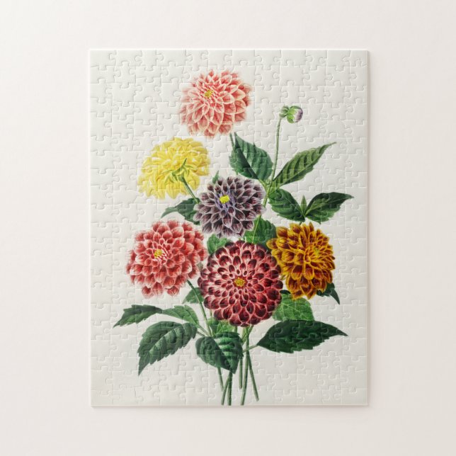 Vintage Botanical Illustration Dahlias 250 pieces Jigsaw Puzzle (Vertical)