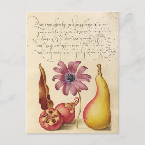 Vintage Botanical Illustration Holiday Postcard