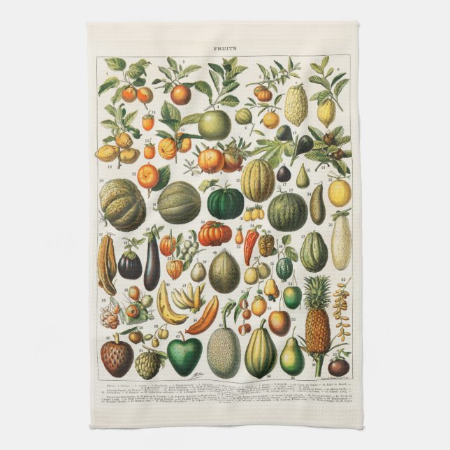 Vintage Botanical Illustration of Fruit   Kitchen Towel (Vertical)