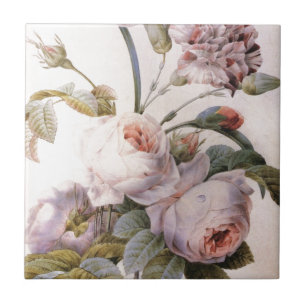 vintage botanical illustration, pink rose ceramic tile