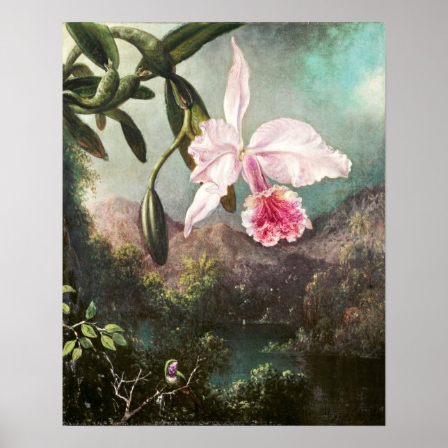 Vintage Botanical Illustration Poster (Front)