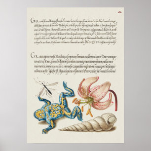 Vintage Botanical Illustration Poster