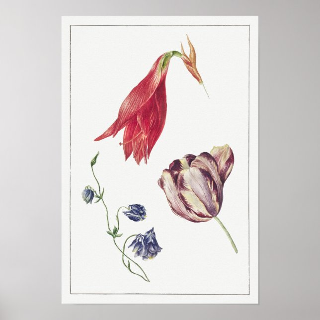 Vintage Botanical Illustration Poster (Front)