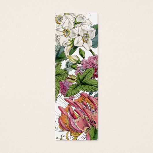 Vintage Botanical Illustrations (Front)