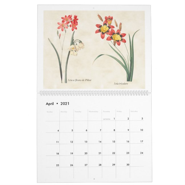 Vintage Botanical Illustrations 2021 Calendar