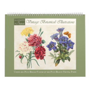 Vintage Botanical Illustrations 2027 Calendar