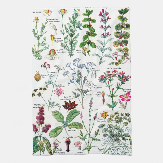 Vintage Botanical Illustrations Kitchen Towel (Vertical)