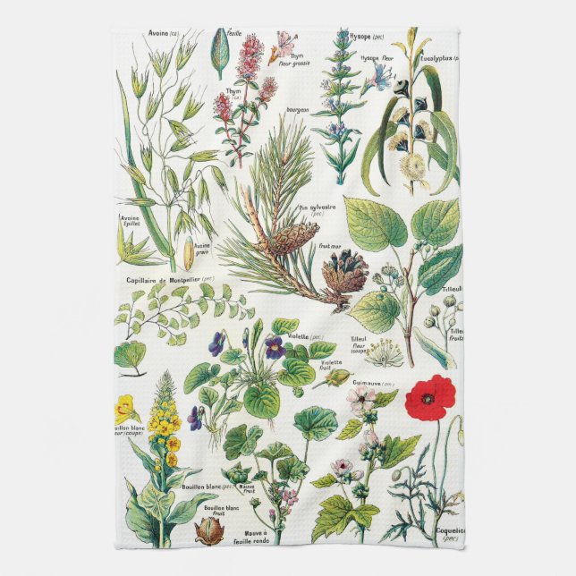 Vintage Botanical Illustrations Kitchen Towel (Vertical)