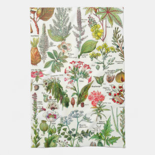 Vintage Botanical Illustrations Kitchen Towel
