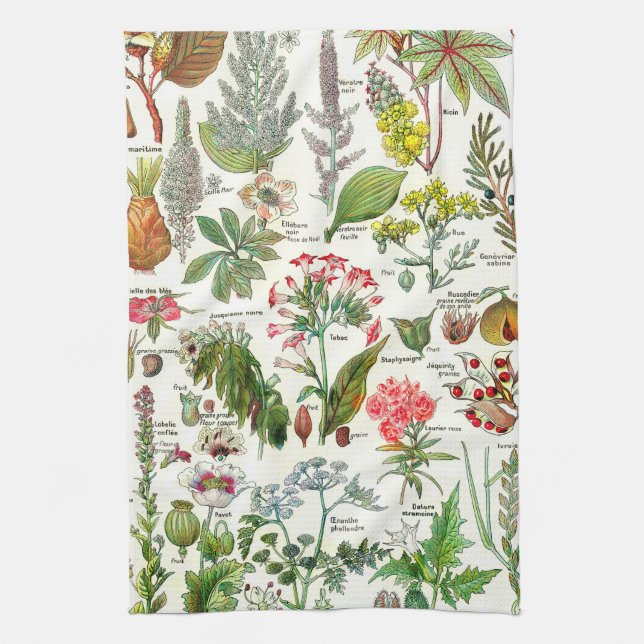 Vintage Botanical Illustrations Kitchen Towel (Vertical)