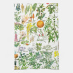 Vintage Botanical Illustrations Kitchen Towel at Zazzle