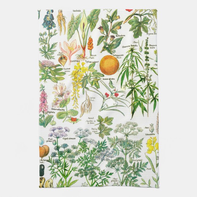 Vintage Botanical Illustrations Kitchen Towel (Vertical)