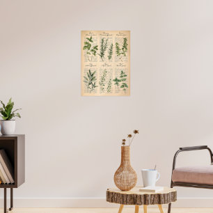 Vintage Botanical Kitchen Herbs Script Art Poster