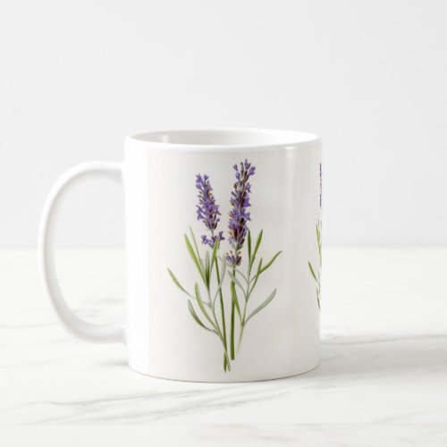 Vintage Botanical Lavender Herb Plant Flowers Coffee Mug