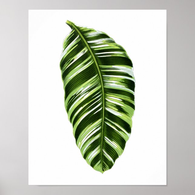 Vintage Botanical Leaf Print (Front)