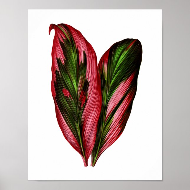 Vintage Botanical Leaf Print (Front)