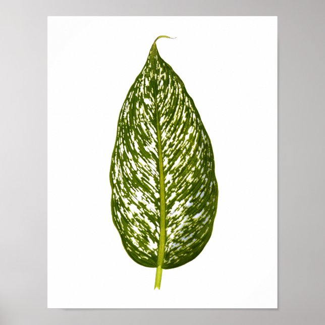 Vintage Botanical Leaf Print (Front)