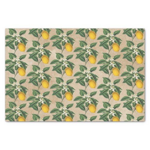 Vintage Botanical Lemon Fruit Blossom Beige Kraft Tissue Paper