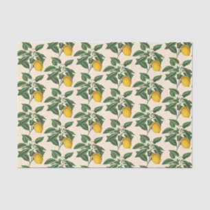 Vintage Botanical Lemon Fruit Blossom Beige Tissue Paper
