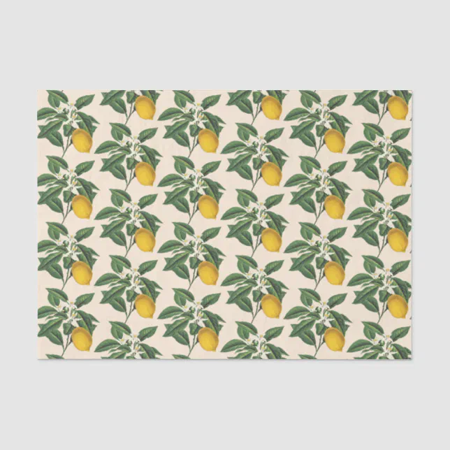 Vintage Botanical Lemon Fruit Blossom Beige Tissue Paper | Zazzle