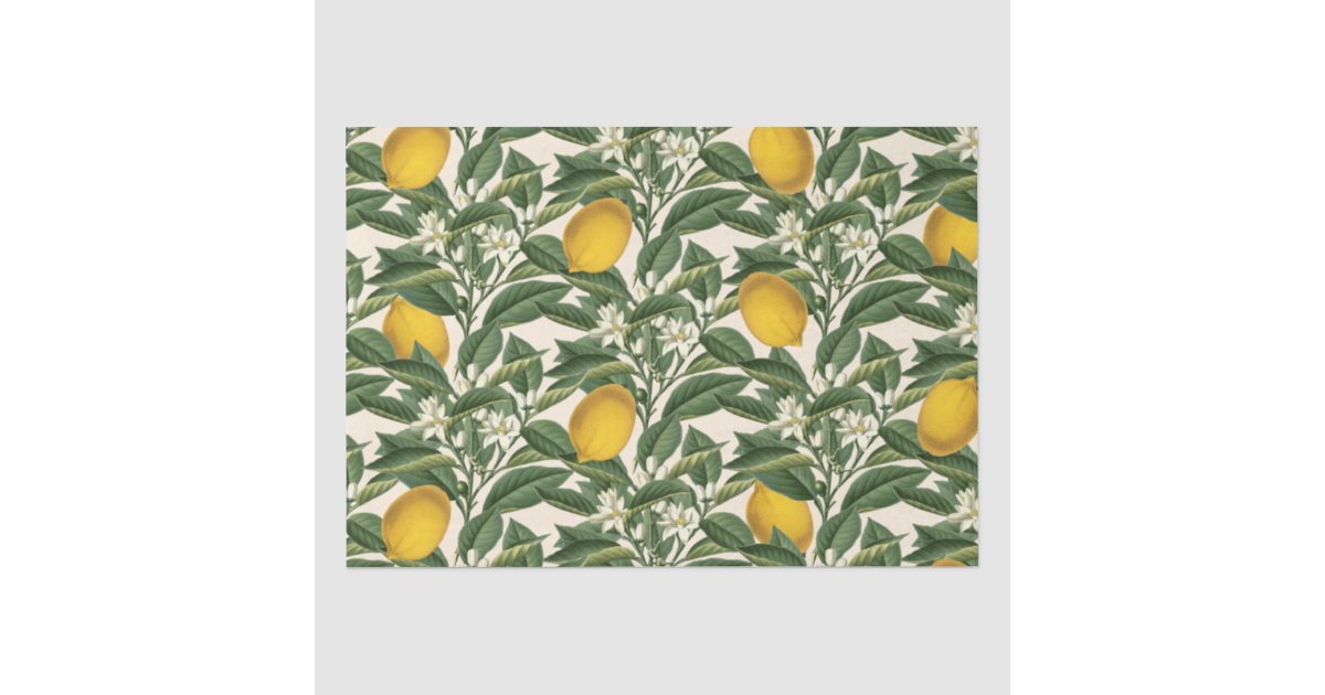 Vintage Botanical Lemon Fruit Blossom Pattern Tissue Paper | Zazzle