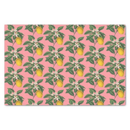 Vintage Botanical Lemon Fruit Blossom Pink Tissue Paper