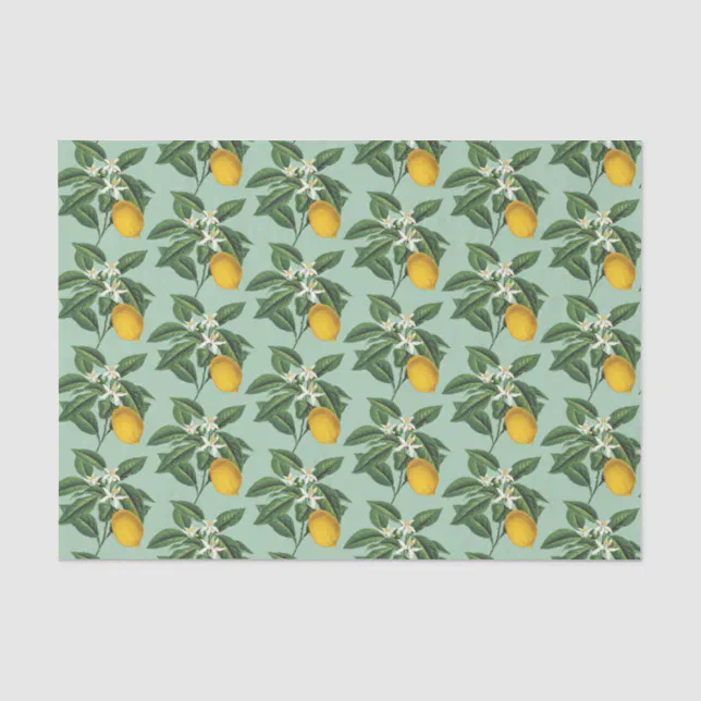 Vintage Botanical Lemon Fruit Blossom Sage Green Tissue Paper | Zazzle
