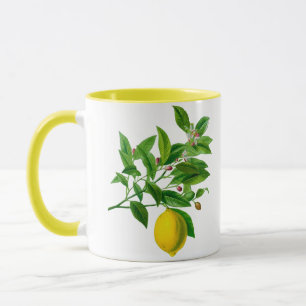 Vintage Botanical Lemon Illustration  Mug