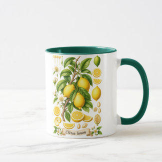 Vintage Botanical Lemon Illustration Mug