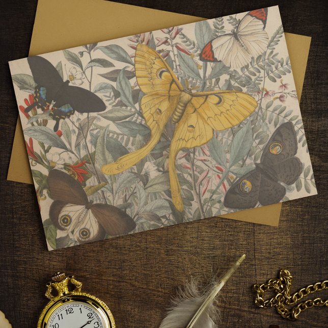 Vintage Botanical Luna Moth Butterfly Decoupage Tissue Paper (Creator Uploaded)