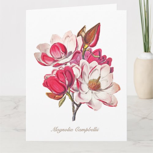 Vintage Botanical Magnolia Pink White Flowers Card