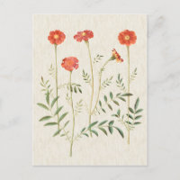 Vintage Botanical Marigolds Illustration