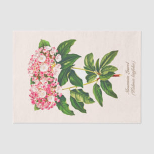 Vintage Botanical Mountain Laurel Flower Decoupage Tissue Paper
