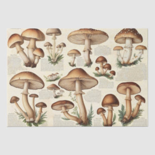 Vintage Botanical Mushroom Cottagecore Decoupage Tissue Paper