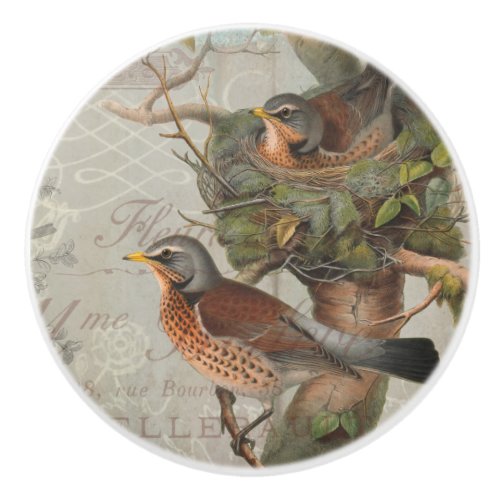 Vintage Botanical Nesting Birds Script Ephemera Ceramic Knob