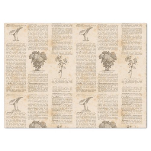 Vintage Botanical Newsprint Decoupage Tissue Paper