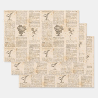 Vintage Botanical Newsprint Wrapping Paper Sheets